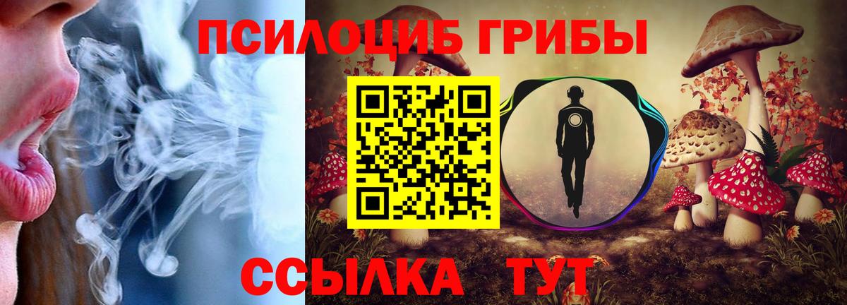 Галлюциногенные грибы Psilocybe  продажа наркотиков  Вход с VPN  Орск  Псилоцибиновые грибы прущие грибы 